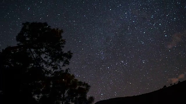 星星越过一棵树时间流逝视频素材