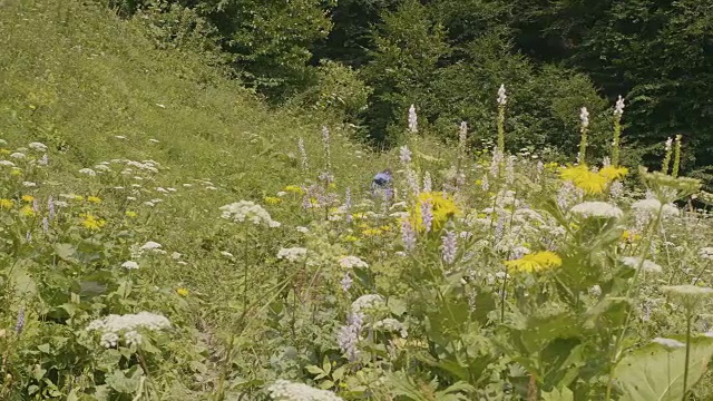 游客背包徒步在夏季草地和绿色的森林背景视频素材