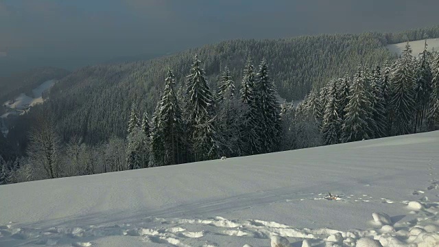 冬季景观Thurner，南黑森林，Schwarzwald，巴登-符腾堡，德国，欧洲视频素材