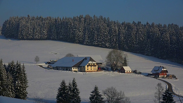 农舍附近Thurner在冬天，南黑森林，Schwarzwald，巴登-符腾堡，德国，欧洲视频素材