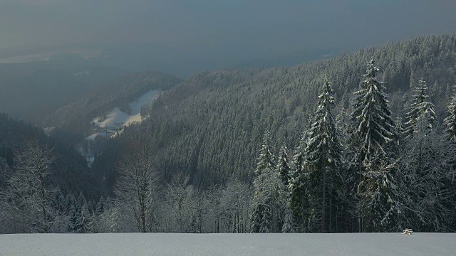 冬季景观Thurner，南黑森林，Schwarzwald，巴登-符腾堡，德国，欧洲视频素材