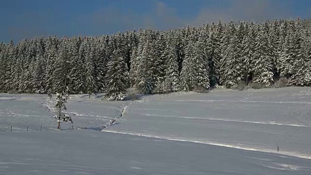 冬季景观Thurner，南黑森林，Schwarzwald，巴登-符腾堡，德国，欧洲视频素材