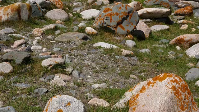 岩石河在山谷中流动。湍急的山河视频素材