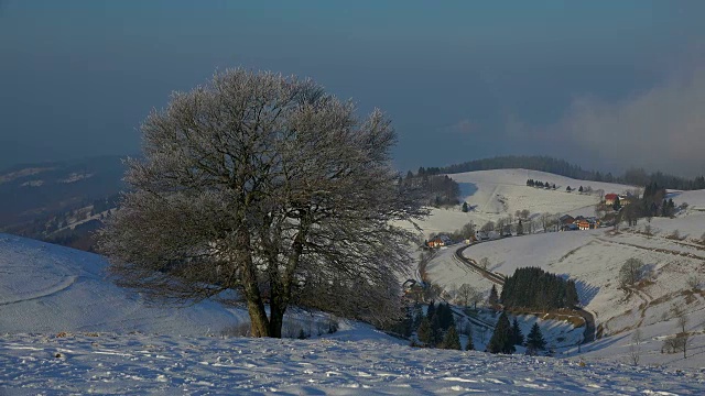 弗莱堡附近的Schauinsland山在冬天到Muenstertal，南黑森林，Schwarzwald，巴登-符腾堡，德国，欧洲视频素材