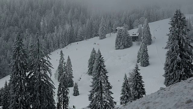 德国巴登-符腾堡州黑森林南黑森林费尔德堡山口积雪覆盖的森林视频素材