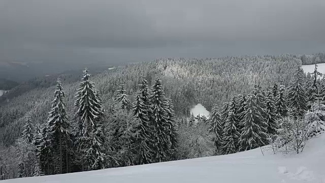 冬季景观Thurner，南黑森林，Schwarzwald，巴登-符腾堡，德国，欧洲视频素材