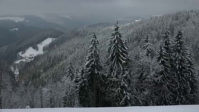 冬季景观Thurner，南黑森林，Schwarzwald，巴登-符腾堡，德国，欧洲视频素材