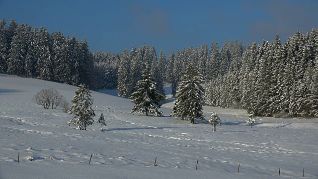 冬季景观Thurner，南黑森林，Schwarzwald，巴登-符腾堡，德国，欧洲视频素材