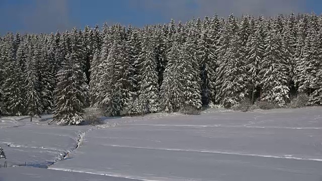 冬季景观Thurner，南黑森林，Schwarzwald，巴登-符腾堡，德国，欧洲视频素材