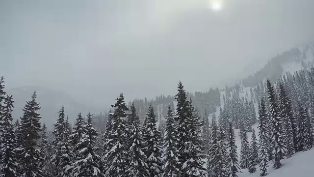 雪山森林缆车视角视频素材