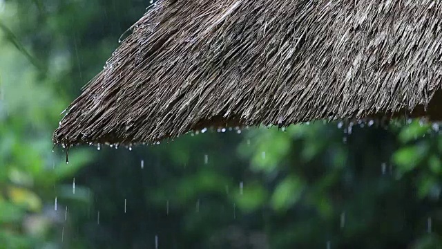 热带夏雨滴落在花园的稻草屋顶上。印尼巴厘岛视频素材