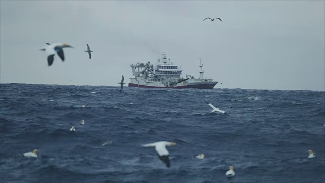 在波涛汹涌的海面上出海的拖网渔船视频素材