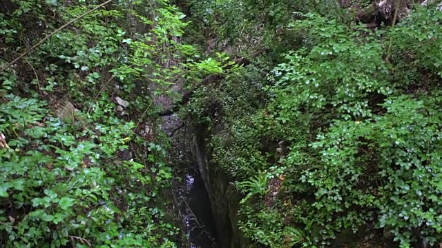 山峡凉水流，绿林大石视频素材