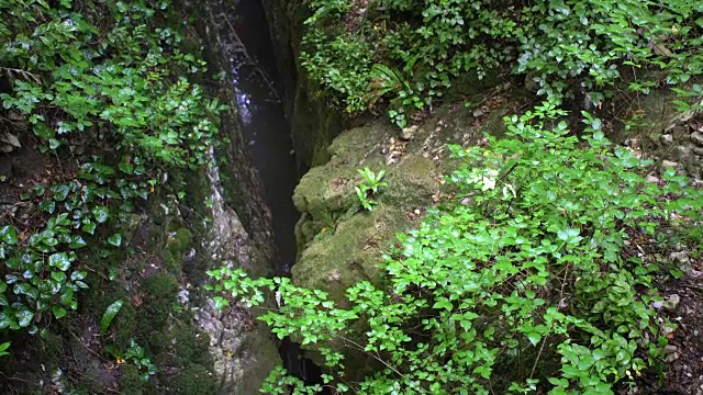 山峡凉水流，绿林石林视频素材