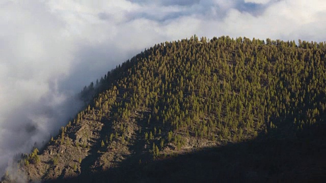 西班牙，加那利群岛，特内里费岛，泰德国家公园，云海在森林上空移动的时间流逝。视频素材