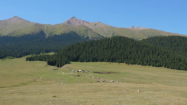 美丽的风景，夏季森林和山峰上的蓝天背景视频素材