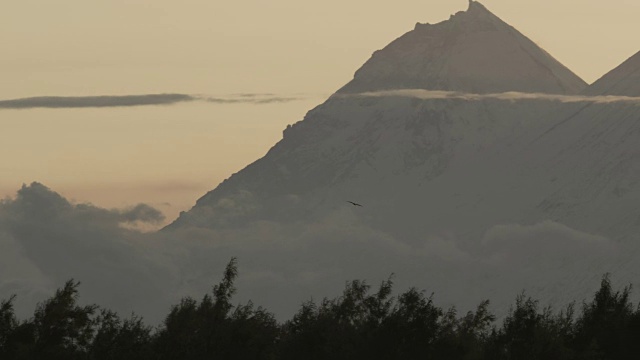 鹰在火山周围飞行，堪察加，2009年视频素材