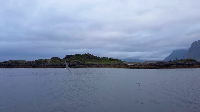 飞越海岸视频素材