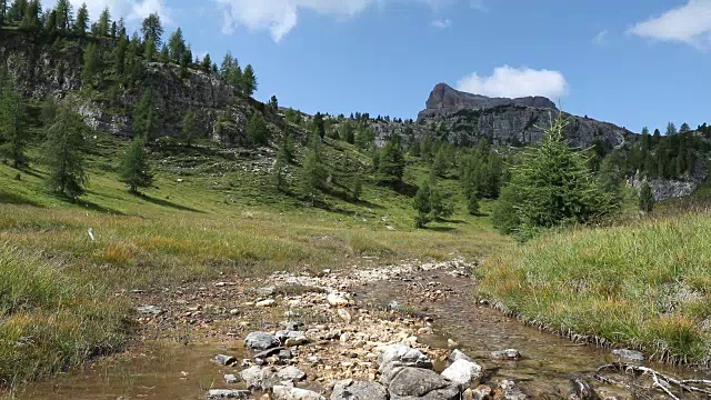 山流。高山景观，山谷中有许多松树，溪流和山脉在背景中。视频下载