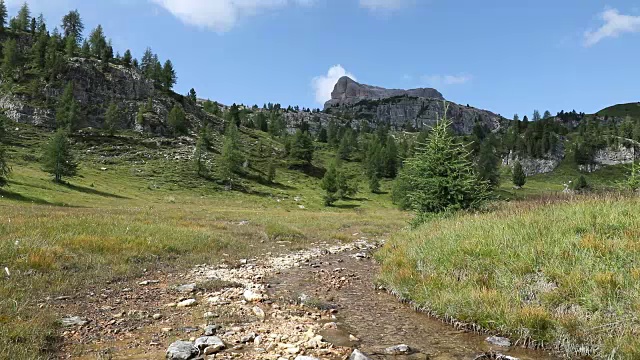 山流。高山景观，山谷中有许多松树，溪流和山脉在背景中。视频素材