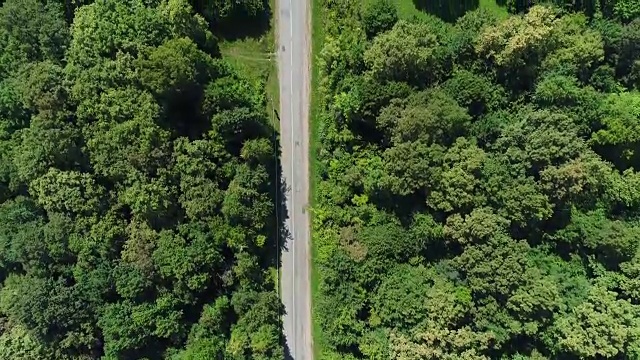 鸟瞰图，森林中间的高速公路。视频素材