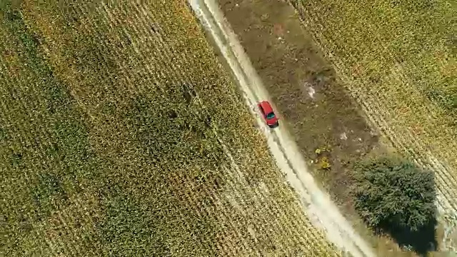 沿着风景如画的乡村和农地走视频素材