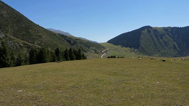 夏季景观有天山、谷地，还有车行路上、平移的景色视频素材