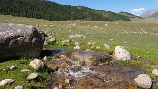 泉水在青翠的夏谷间流动，特写视频素材