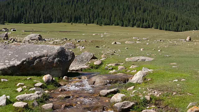 泉水与水之间流动的岩石在夏季草地，放大的视野视频素材