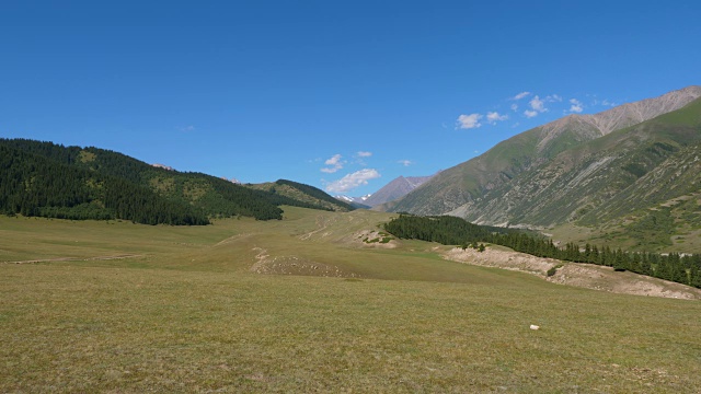 绿色美丽的景观与山谷，天山和蓝天，锁定镜头视频素材