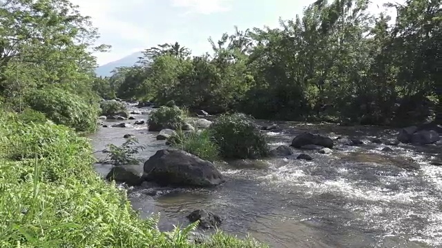 热带雨后的深山大河，岩石河岸上生长着茂密的异国森林，水流湍急，令人惊叹的河景。印尼巴厘岛视频素材