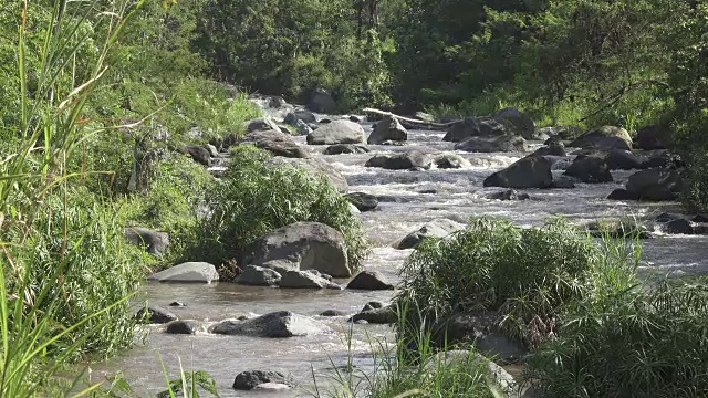 热带雨后的深山大河，岩石河岸上生长着茂密的异国森林，水流湍急，令人惊叹的河景。印尼巴厘岛视频素材