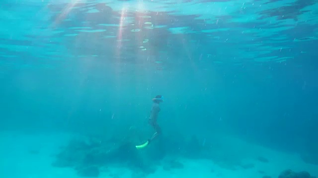 女子潜水在水下浮潜视频素材