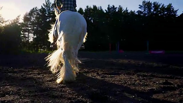 马蹄在地上奔驰的马蹄声视频下载