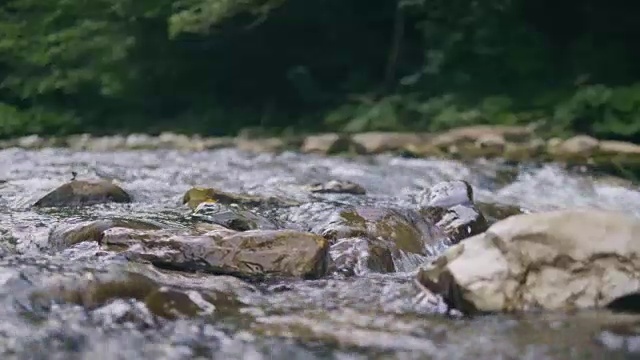 清澈的水流在岩石河在山区景观。石头河视频素材