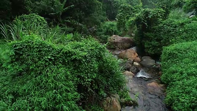 鸟瞰图的小河流在热带雨林山脉视频素材