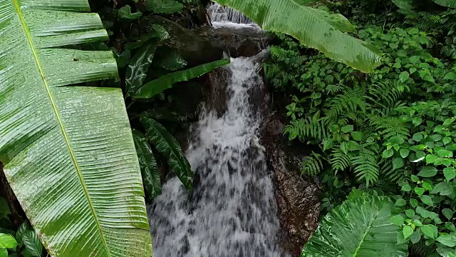 热带雨林山脉瀑布鸟瞰图视频素材