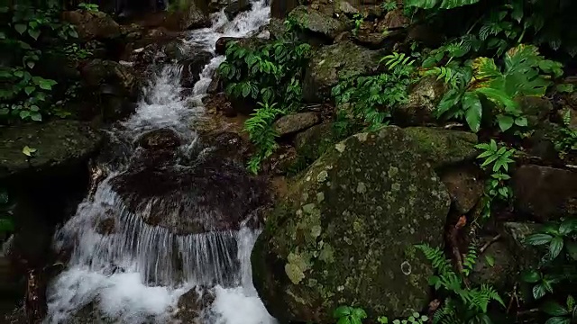 热带雨林山脉瀑布鸟瞰图视频素材