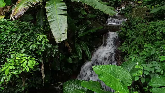 热带雨林山脉瀑布鸟瞰图视频素材