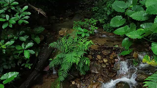 热带雨林山脉瀑布鸟瞰图视频素材