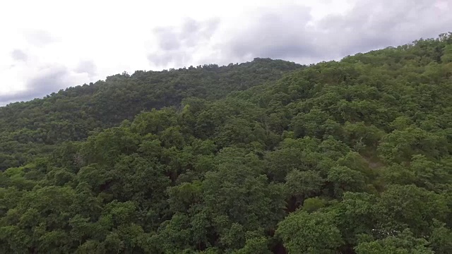 山顶长满了天然生长的树木。无人机空中视频素材