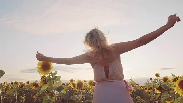 一位年轻女子站在向日葵中间的田野里。她有一头金发和一件白色的连衣裙。那女人双手叉开，在花的背景下摆好姿势视频素材