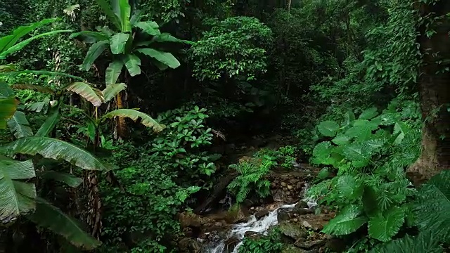 热带雨林山脉瀑布鸟瞰图视频素材