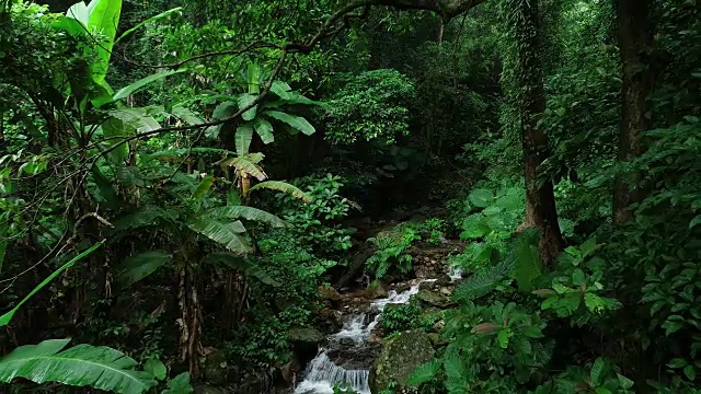 热带雨林山脉瀑布鸟瞰图视频素材