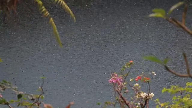 在印度尼西亚，夏日的雨水落在带有热带树木的游泳池上视频素材