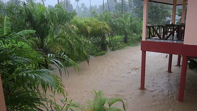 泰国帕岸岛的街道上出现了洪水和热带降雨视频素材