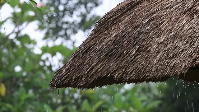 热带夏雨滴落在花园的稻草屋顶上。印尼巴厘岛视频素材