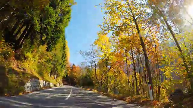 行驶在风景优美的道路上，穿过秋天的森林，阳光照耀着五颜六色的树叶视频素材