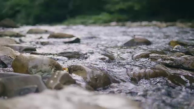 清澈的水在石质的河流中流动。山河中的小溪视频素材