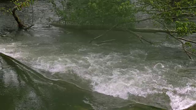 溪流中的水流视频素材